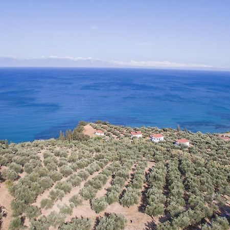 Villa Κτήμα Παπαβασιλόπουλος 2 - à Koróni Extérieur photo